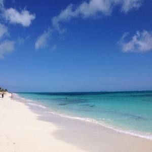 Meet your Posher, Petra